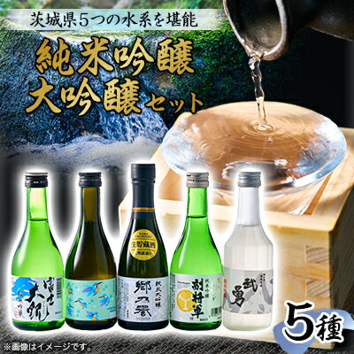 【ふるさと納税】いばらきの地酒純米吟醸・大吟醸 300ml 5本セット 5つの水系を堪能【配送不可地域：離島・沖縄県】【1597909】