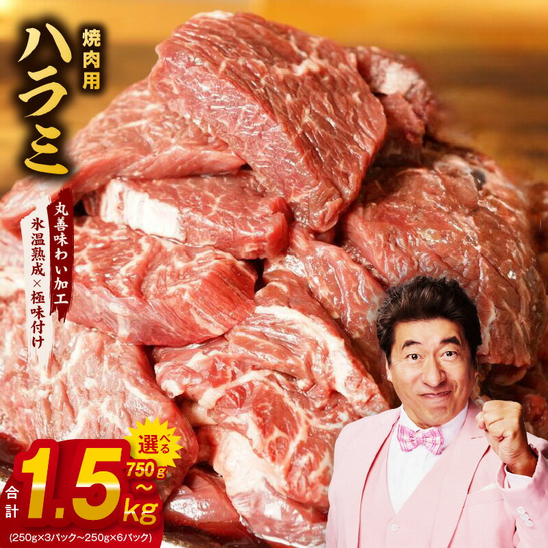 【ふるさと納税】牛肉 ハラミ 750g（250g×3） / 1kg（250g×4） / 1.5kg（250g×6） 【丸善味わい加工】 【氷温熟成×極味付け】 氷温熟成牛 牛肉 熟成肉 作り方 ふるさと納税オリジナル 限定 大阪府 泉佐野市 送料無料 肉の泉佐野
