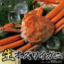 【ふるさと納税】生・本ズワイガニ 1匹 400g程度 酒田沖 10月中旬～12月下旬頃お届け 冷蔵便 ※着日指定・離島発送不可（沖縄県を含む） 東北 山形県 庄内地方 飛島 日本海 カニ 蟹 かに 海産物 シーフード 海鮮 新鮮 鮮魚 まるごと 生食 刺身 ボイル 焼き 期間限定