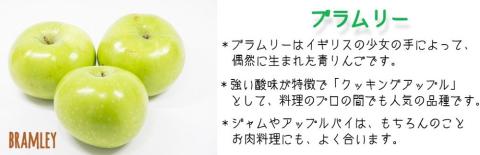 りんご ブラムリー 特選 3kg やまじゅうファーム 沖縄県への配送不可 2025年8月中旬頃から2025年8月下旬頃まで順次発送予定 信州の環境にやさしい農産物 減農薬栽培 令和7年度収穫分 長野県