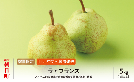ラ・フランス 洋梨 5kg 18玉以上 特秀 【11月中旬発送】 山形県 朝日町産 山形 特産 産地直送 果物 フルーツ ラフランス 秋 山形産