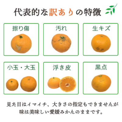 【2025年11月より順次発送】大玉サイズのみ厳選!愛媛みかん8kg【訳あり】【C25−142】【1166254】