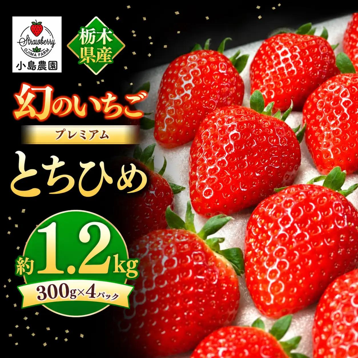 【2027年先行予約】幻のプレミアムいちご とちひめ 約1.2kg