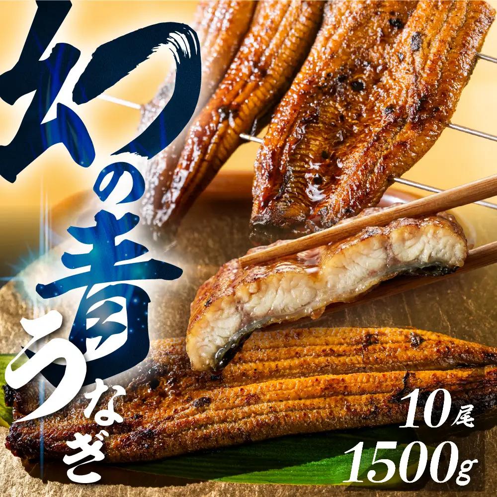 最高級 特上 幻の青うなぎ 10尾 うなぎ