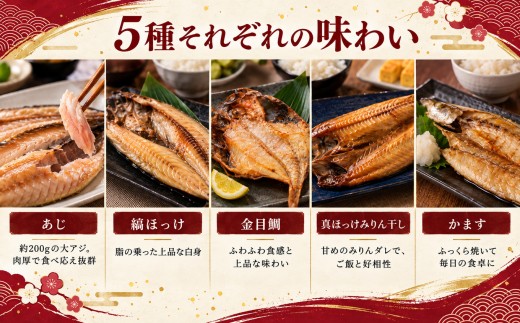 大島水産の「でっかい干物詰合せ」 | 干物 ひもの 干物セット 干物詰め合わせ 5種 11枚 大判干物 肉厚 大島水産 あじ 鯵 あじ開き 縞ほっけ 金目鯛 真ほっけ ほっけみりん干し みりん干し か