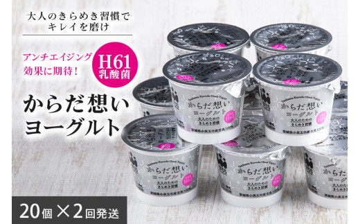 
【定期便2回】 H61乳酸菌『からだ想いヨーグルト』 ヨーグルト 低糖・低カロリー H61乳酸菌 アンチエイジング 健康 老化抑制 腸内改善 美容 美肌 美肌菌 敏感肌 乾燥肌 敬老の日 御見舞い 自宅待機 食品 お取り寄せ ギフト 詰め合わせ プチギフト 誕生日 内祝い 1-C
