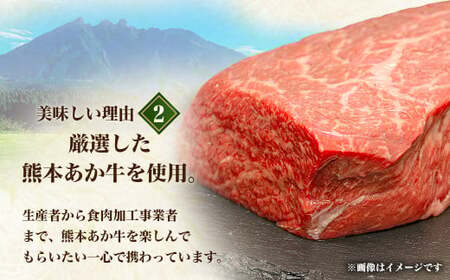 【原料高騰につき2025年1月より価格改定予定】あか牛デミグラスハンバーグ 150g×20個 くまもとあか牛 ハンバーグ はんばーぐ 牛肉 牛 おかず 惣菜 冷凍