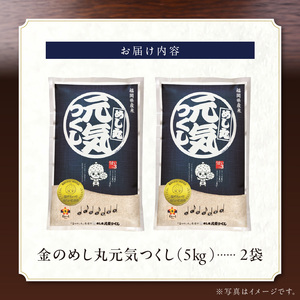 金のめし丸元気つくし 10kg（5kg×2袋） 令和7年産_ 白米 お米 〔Gr044〕
