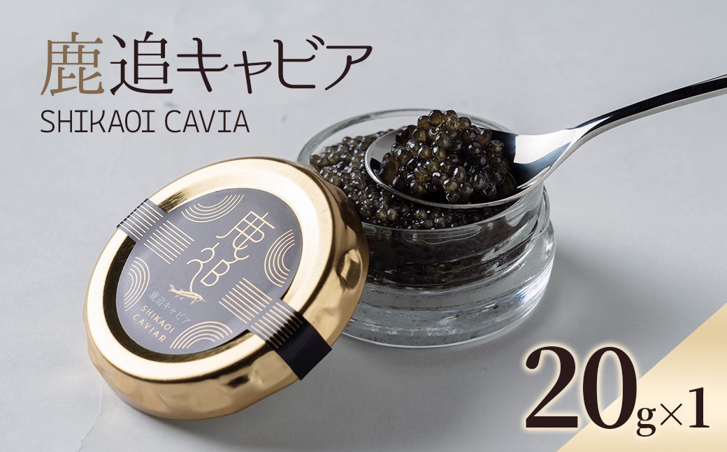 
            鹿追キャビア 20g×1 【 ふるさと納税 人気 おすすめ ランキング キャビア 国産 魚介 魚卵 珍味 加工品 冷凍 高級 贅沢 グルメ ギフト 贈答 おつまみ 北海道 鹿追町 送料無料 】 SKAF002
          