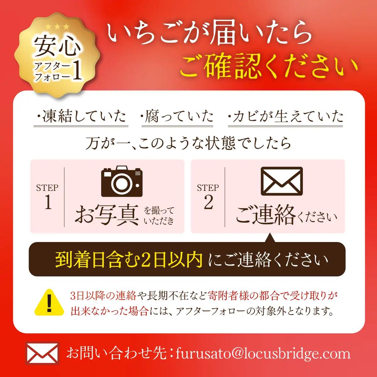 いちご＜先行受付＞【1月以降発送】朝採れとちあいか レギュラーサイズ 約270g × 4パック 合計 約1080g |イチゴ いちご