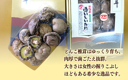 【大分県産】おいしいたけ 原木どんこ椎茸(120g)　日田市 / 高木商店 椎茸 どんこ しいたけ[AREX001]