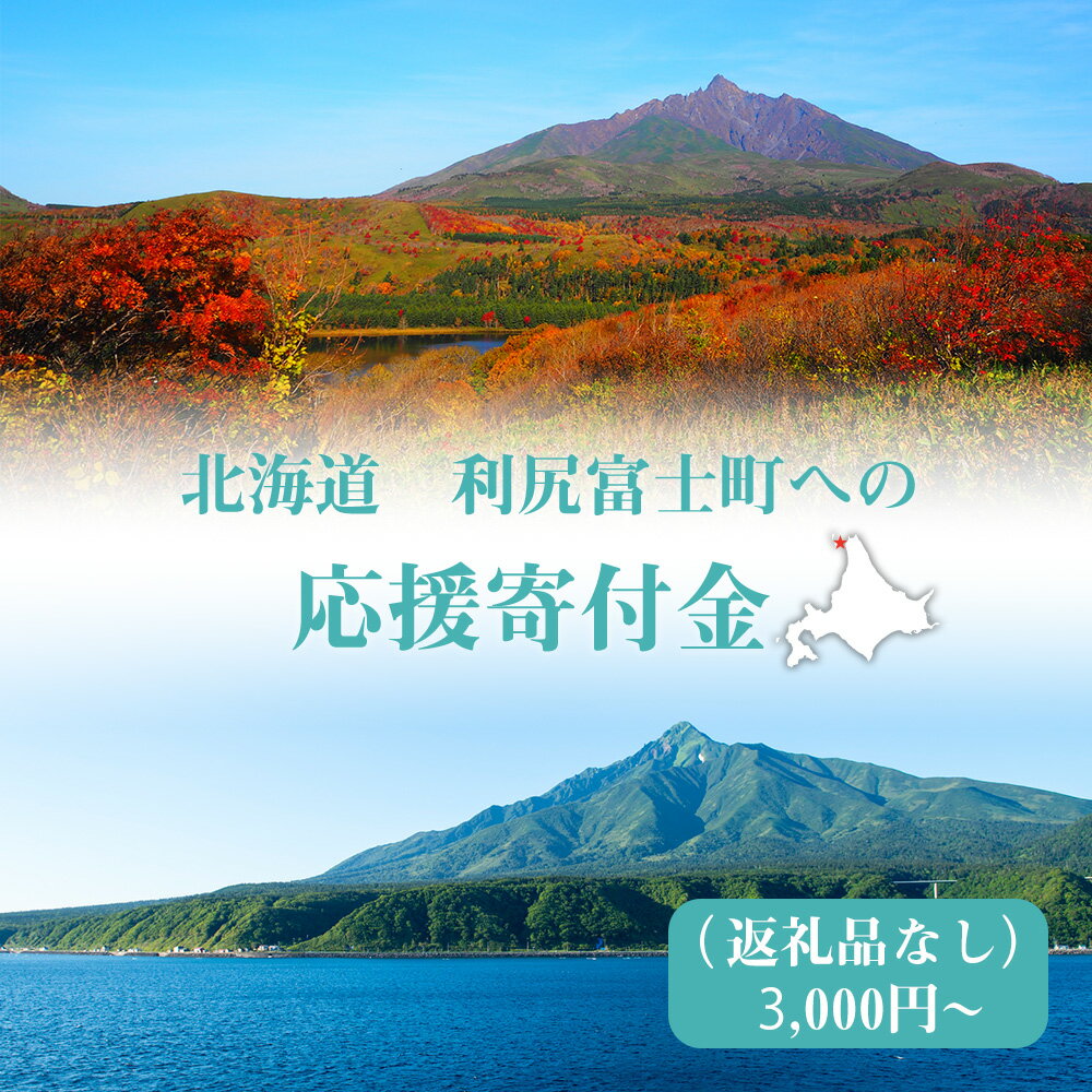 【ふるさと納税】北海道 利尻富士町☆応援寄付金☆ 選べる応援寄付金【返礼品なし】北海道ふるさと納税 利尻富士町 ふるさと納税 北海道 寄付のみ 返礼品なし 【AQ01】