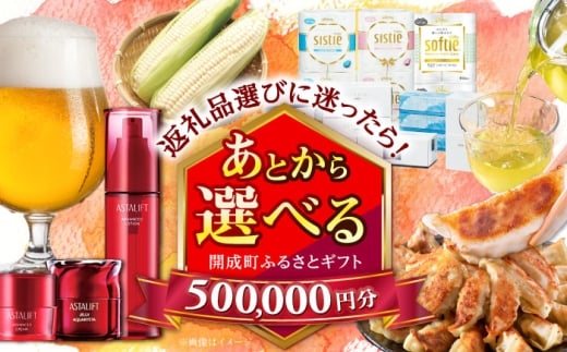 【あとから選べる】開成町ふるさとギフト 50万円分 あとから寄附 選べる寄附 ティッシュ トイレットペーパー 化粧品 餃子 体験 お茶 日本酒 定期便 神奈川 開成町 [BDZZ010]