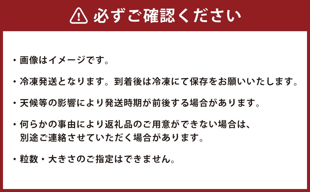 湧き水育ちのこだわり“大粒・完熟”冷凍ブルーベリー 合計1kg（500g×2パック） ｜ 国産・農家直送【ブルーベリーガーデンcoicoi/愛知県額田郡幸田町】　※2026年6月下旬頃より順次発送予定