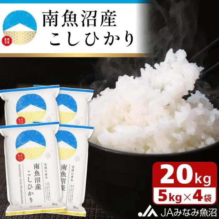 【令和7年産】南魚沼産こしひかり 精米 20kg  ｜こしひかり