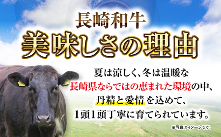 【全3回定期便】【A4～A5ランク】長崎和牛焼肉用　500g《壱岐市》【株式会社MEAT PLUS】肉 牛肉 黒毛和牛 焼き肉 焼肉 焼肉用 ギフト 贈答用 ご褒美 冷凍配送 A4 A5[JGH108