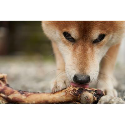 ふるさと納税 大豊町 高品質!犬用鹿骨ジャーキー |  | 02