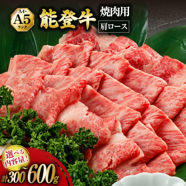 【ふるさと納税】 牛 肩ロース 選べる容量 【てらおかの能登牛】能登 牛肩ロース (A4〜A5) 焼肉用 300〜600g [てらおか風舎（寺岡畜産株式会社） 石川県 志賀町 AA8002] 肉 牛肉 能登牛