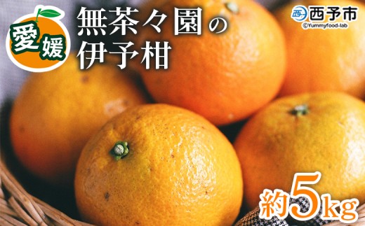 【先行予約】＜無茶々園の伊予柑 約5kg＞ 果物 いよかん イヨカン みかん ミカン 蜜柑 柑橘 フルーツ 選べる内容量 期間限定 季節限定 特産品 愛媛県 西予市【常温】