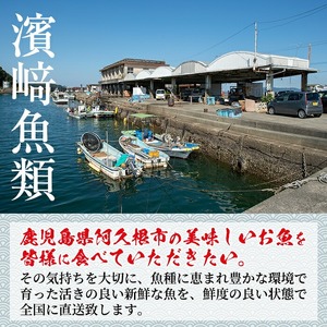 ＜冷凍＞鹿児島県阿久根産 天然きびなごのお刺身(計160尾・20尾×8パック) 国産 魚介 魚貝 海産物 鮮魚 刺身 天ぷら 冷凍配送 キビナゴ 海鮮丼 食品 セット 詰め合わせ 水産加工品 【濱崎魚