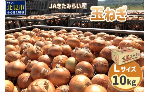 【2026年3月中お届け】JAきたみらい産 玉ねぎ Lサイズ 10kg ( タマネギ たまねぎ 野菜 )【210-0001】