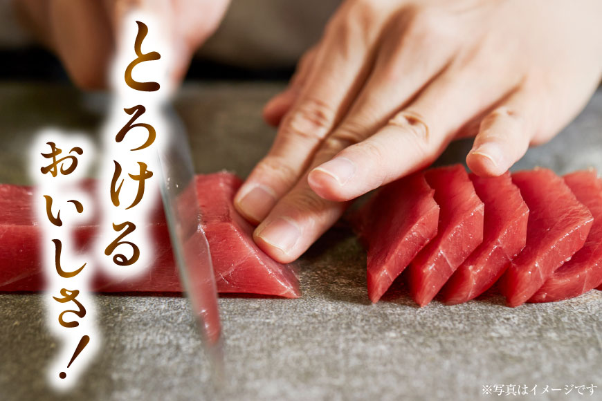 本マグロ・メバチセット [川印　村田漁業 宮城県 気仙沼市 20563739]魚 海鮮 魚介 まぐろ 鮪 メバチマグロ 刺身 本マグロ