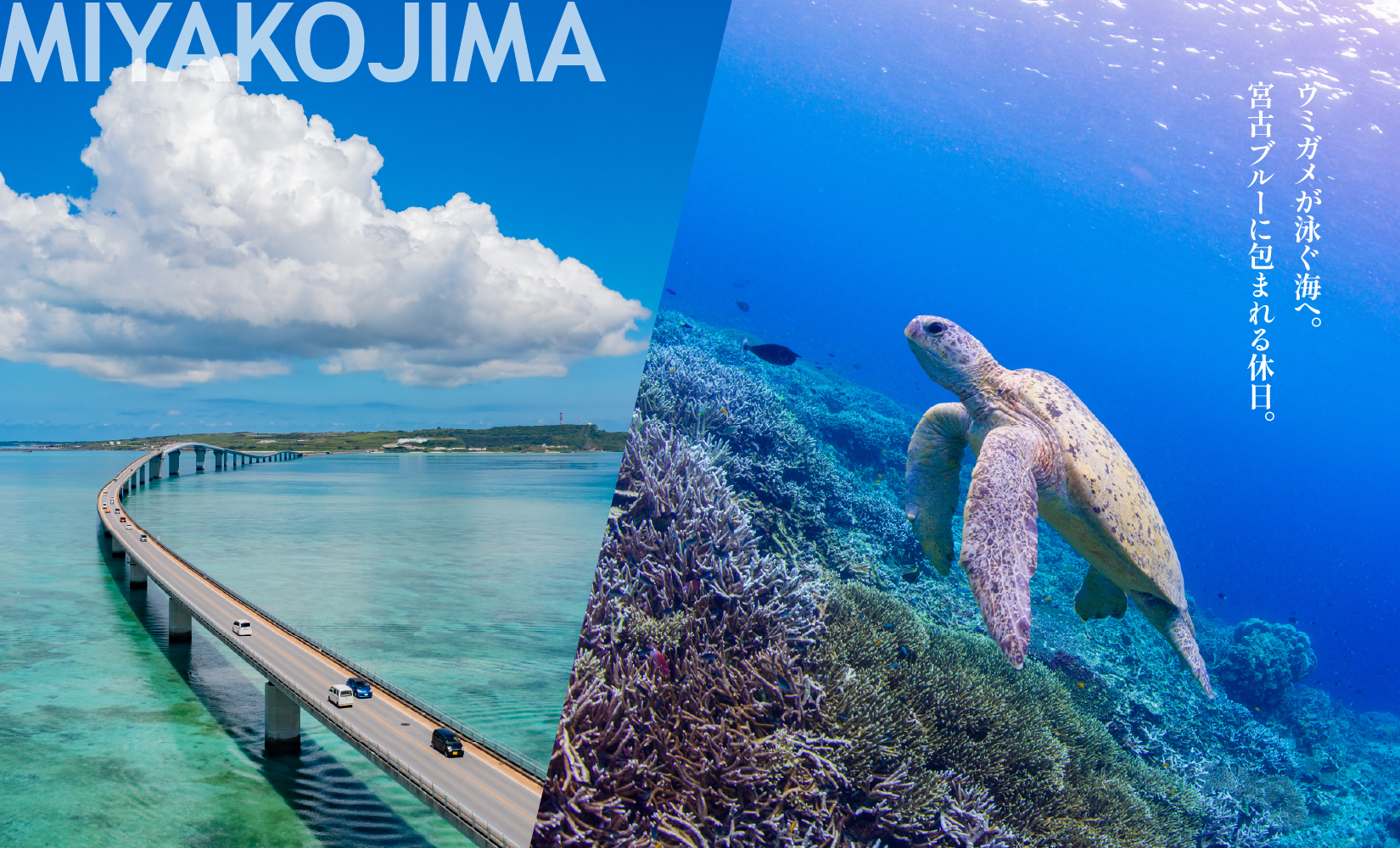 【沖縄ツアー】宮古島 後から選べる旅行Webカタログで使える！ 旅行クーポン（90,000円分） 旅行券 宿泊券 飲食券 体験サービス券（TA03）