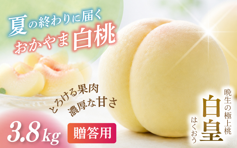 【2026年先行予約】 岡山県産 白皇 3.8kg 化粧箱入り・贈答用 高級 白桃 はくおう 花田青果【8月中旬～9月初旬まで順次発送予定】/ 桃 もも モモ 果物フルーツ 贈答品 贈り物 岡山県【h