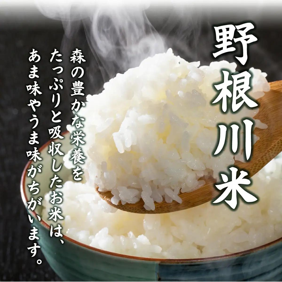  令和8年産 野根川米5kg こしひかり 米 国産 コメ