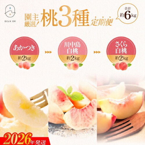 【ふるさと納税】No.2674園主厳選！もも3種定期便　各約2kg【2026年発送 先行予約】