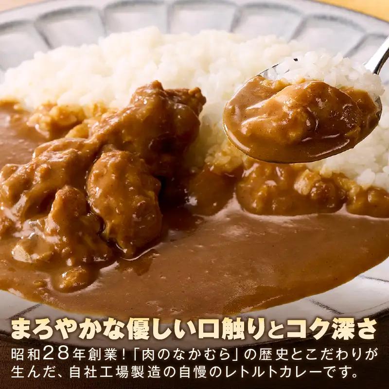 「特製肉屋のカレー」骨付きチキンカレー10食セット【B-193】