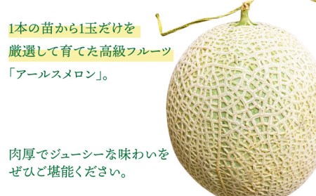 【2025年11月中旬～発送】【数量限定】 アールスメロン 2玉 / 3kg以上 高級 果物 フルーツ メロン マスクメロン めろん / 南島原市 / 長崎県農産品流通合同会社 [SCB074] 