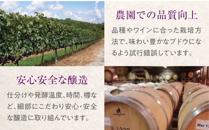 【全2回定期便】緋 ～あけ～ 赤ワイン ライトミディアム 750ml 1本 赤 ワイン ギフト 三次産 ぶどう 葡萄 ブドウ 三次市 / 広島三次ワイナリー [APAZ057]