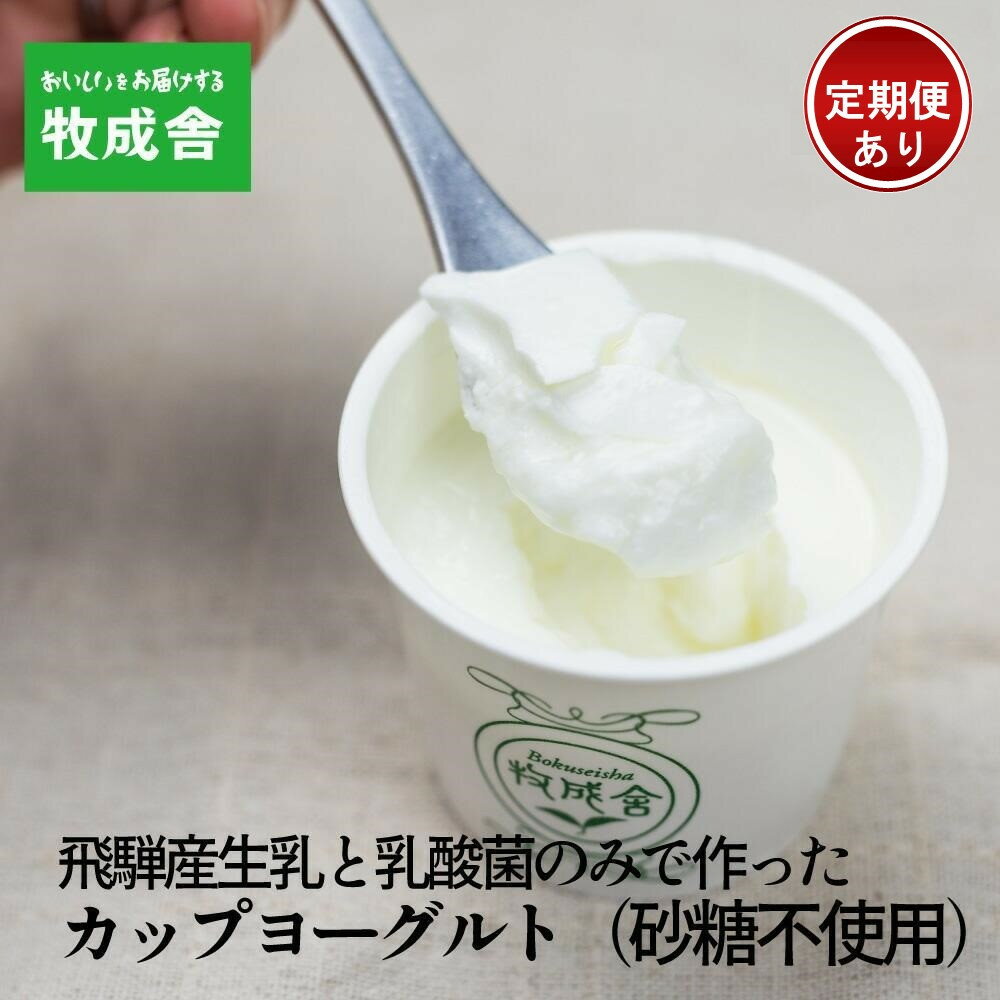 砂糖不使用 プレーンヨーグルト 20個 飛騨の牛乳屋 牧成舎 生乳100％ 朝食におすすめ 無糖ヨーグルト プレーンヨーグルト 砂糖不使用 生乳 ヨーグルト 乳製品