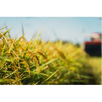 ふるさと納税 筑前町 【新米】令和7年産 特別栽培米【白米】 計9kg(3kg×3袋)精米したてを農家直送でお届け! |  | 01