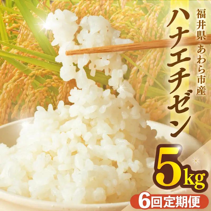 【先行予約】【令和8年産】定期便 ≪6ヶ月連続お届け≫ ハナエチゼン 精米 5kg（計30kg）（長谷川農園） お米 ※2026年10月より順次発送予定 [aw139-d004]