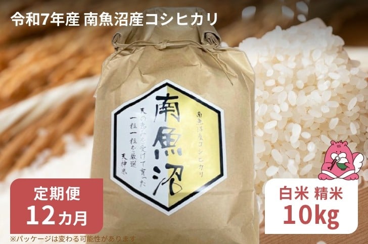 
            令和7年産 12か月定期便【白米10㎏/12回】越後湯沢産 南魚沼産 コシヒカリ 豪雪を源とする水の恵み【湯沢産 コシヒカリ】
          