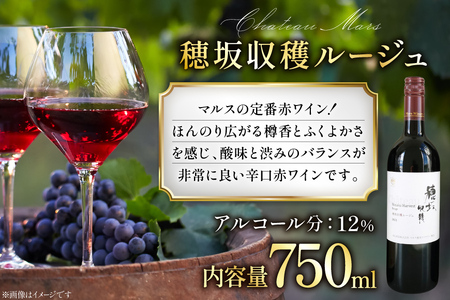 ワイン 赤 飲み比べ  4本 セット ソムリエセレクト 詰め合わせ