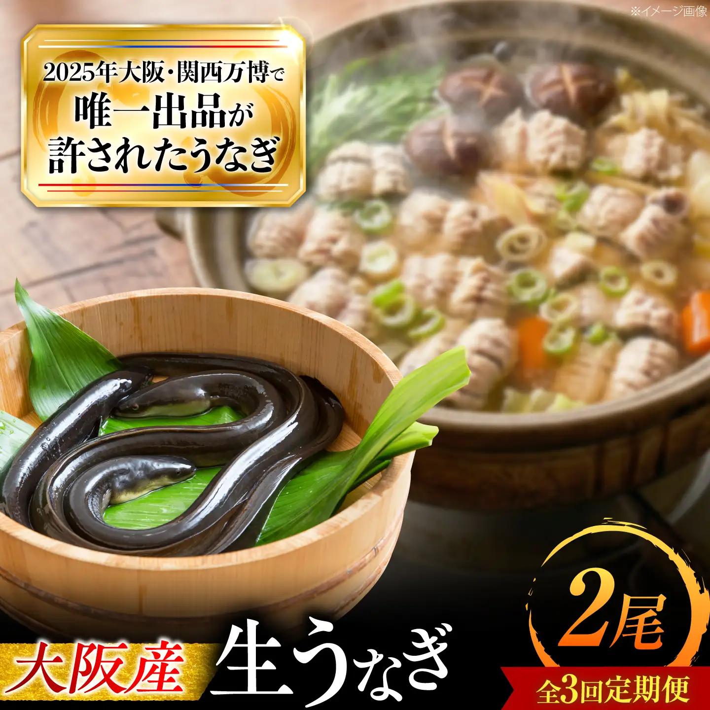 【3回定期便】 鰻 美陵鰻の生鰻 2尾 BLAL064
