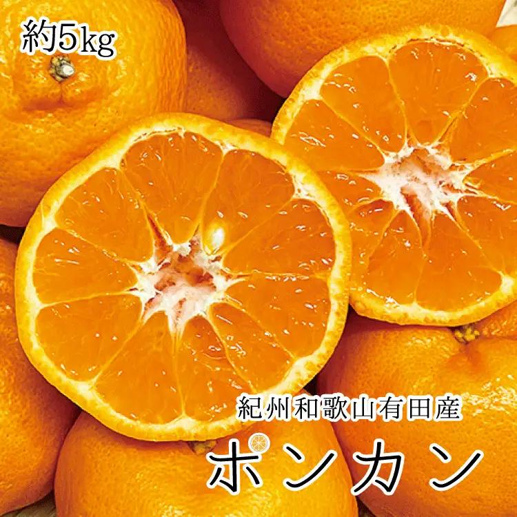 紀州和歌山有田産ポンカン　5㎏	※2027年1月下旬頃〜2027年2月上旬頃に順次発送（お届け日指定不可）【uot722A】