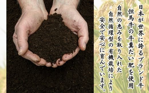 日本が世界に誇るブランド牛・但馬牛。但馬牛の牛糞たい肥を使用し、自然循環型の有機栽培で育った村岡産コシヒカリです。