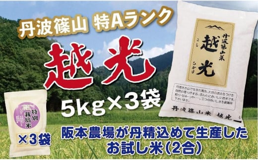 令和６年産　丹波篠山産　特Aランク　越　光　（５kｇ×３袋）