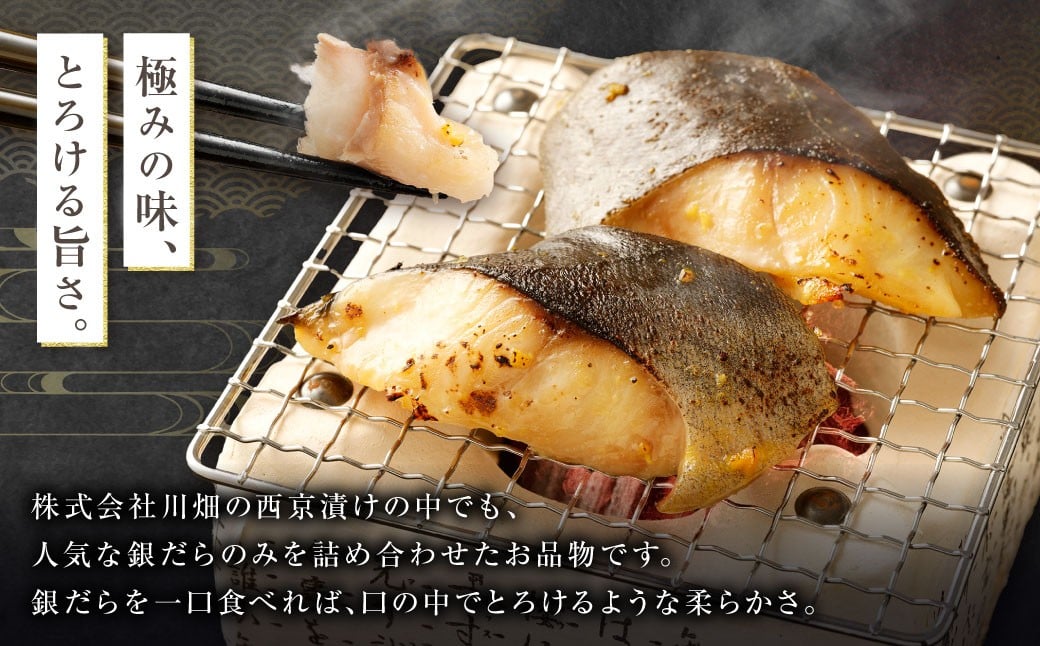 西京漬け 極み銀だら 12枚セット