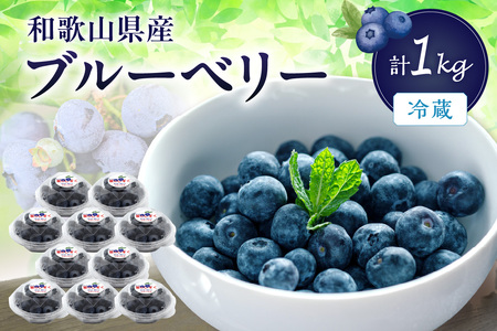 【0705-4】冷蔵ブルーベリー　1kg