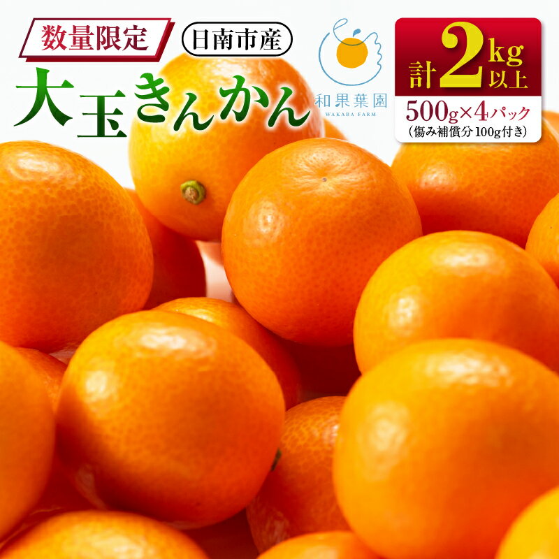 【ふるさと納税】食べ応え抜群 大玉 きんかん 計2kg以上 傷み補償分付き 数量限定 期間限定 フルーツ 果物 くだもの 柑橘 金柑 先行予約 国産 希少 人気 おすすめ ジャム おやつ デザート 小分け おすそ分け 贈り物 ギフト 贈答 ご褒美 産地直送 宮崎県 日南市 送料無料