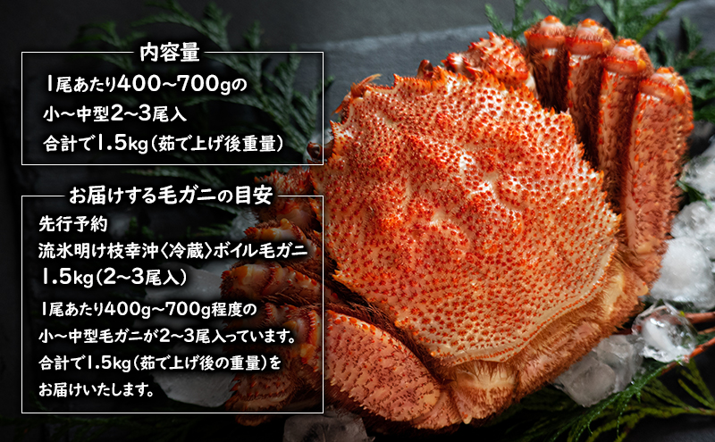 〈冷蔵発送〉流氷明け 枝幸沖 ボイル毛ガニ 1.5kg (2～3尾入) 