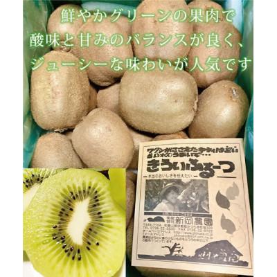 ふるさと納税 北山村 紀州かつらぎ山のキウイフルーツ 約3kg【uot792】 |  | 01