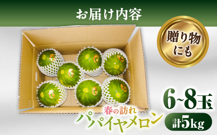 【2025年3月中旬~発送】パパイヤメロン 約5Kg / メロン 南島原市 / うえだメロン園 [SAD007]