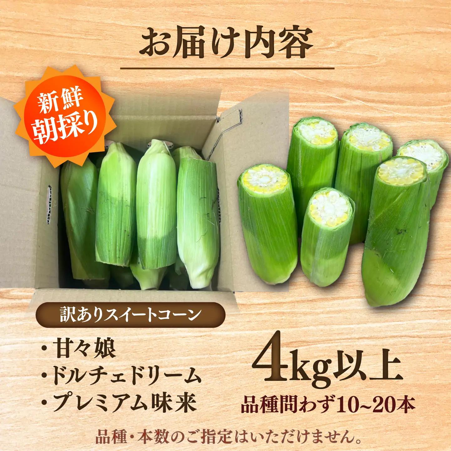 先行予約 2027年6月上旬より順次発送 訳あり スイートコーン(品種問わず) 4kg以上 スイートコーンBHCJ005