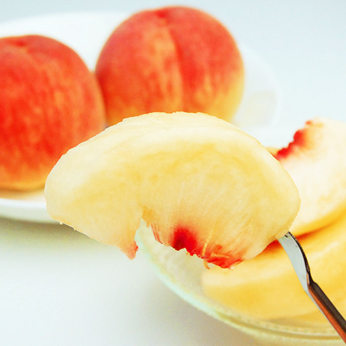 ★定期便3回★山形の夏から秋の人気フルーツ(白桃・シャイ